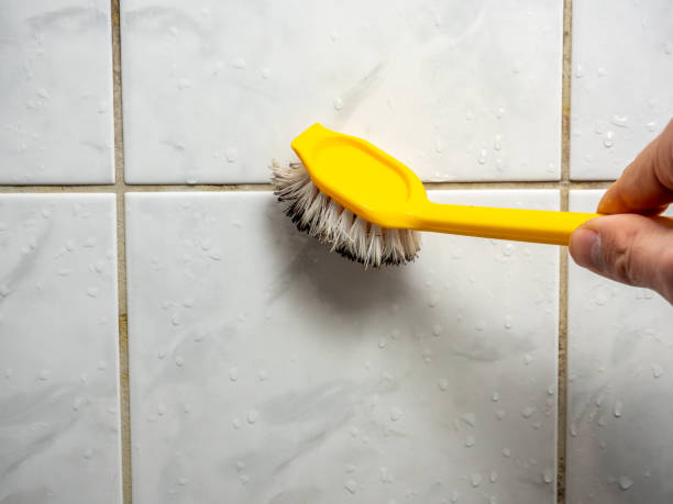 Best Office Mold Removal Services  in Acton, CA